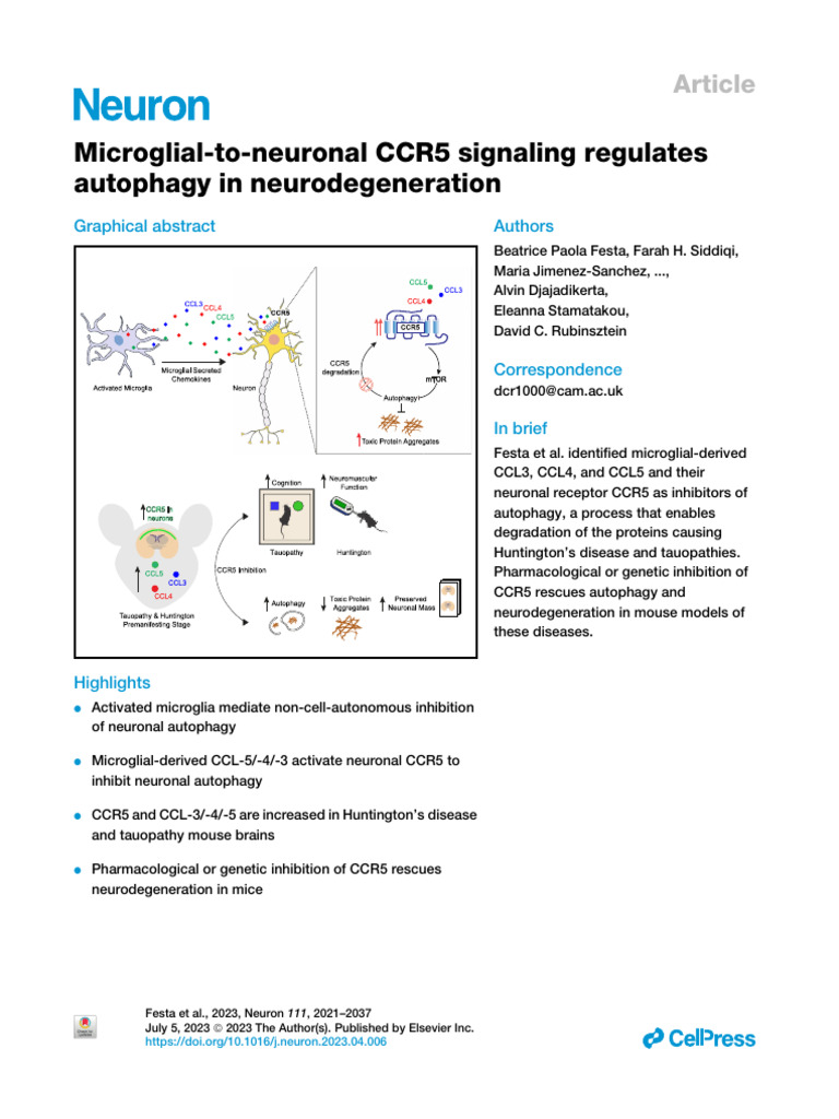 Microglial-To-Neuronal CCR5 Signaling Regulates Autophagy in ...