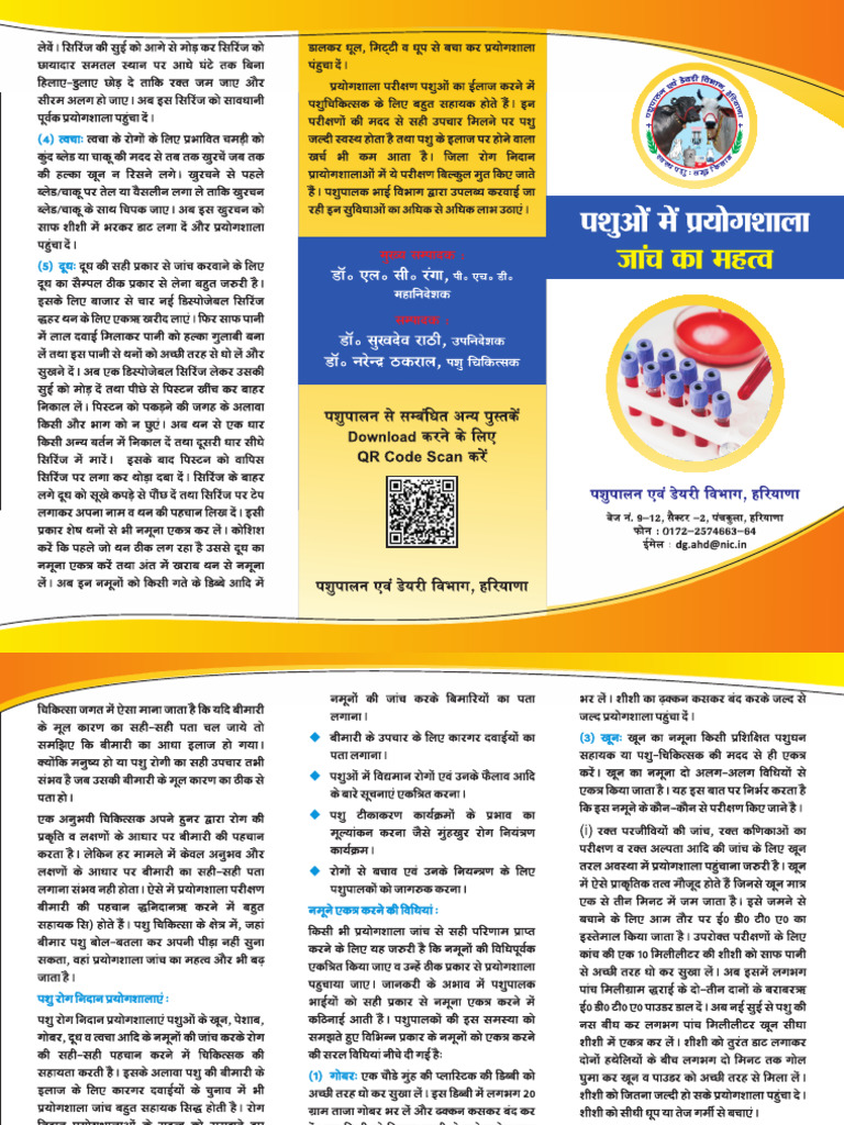 Lab Test Broucher | PDF