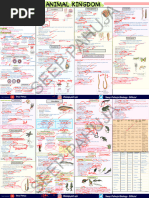 Animal Phyla Chart with Examples | PDF | Zoology