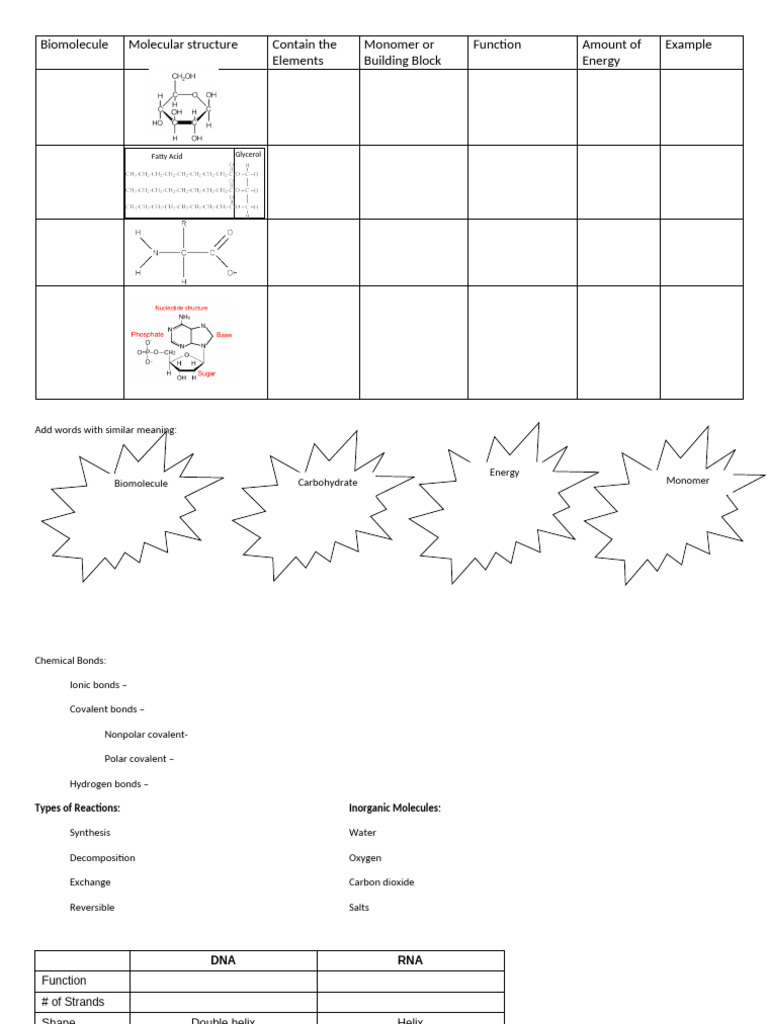 Chapter 2 Notes Outline | PDF
