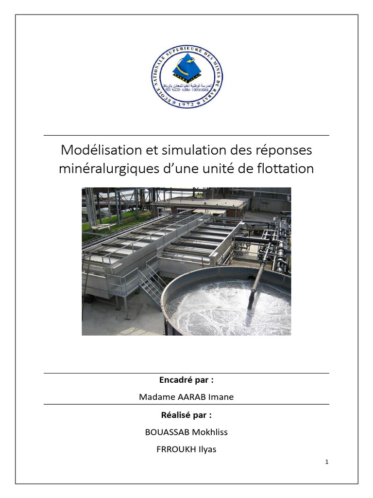 Modélisation de la Flottation avec MATLAB | PDF | Moyenne | Analyse de ...