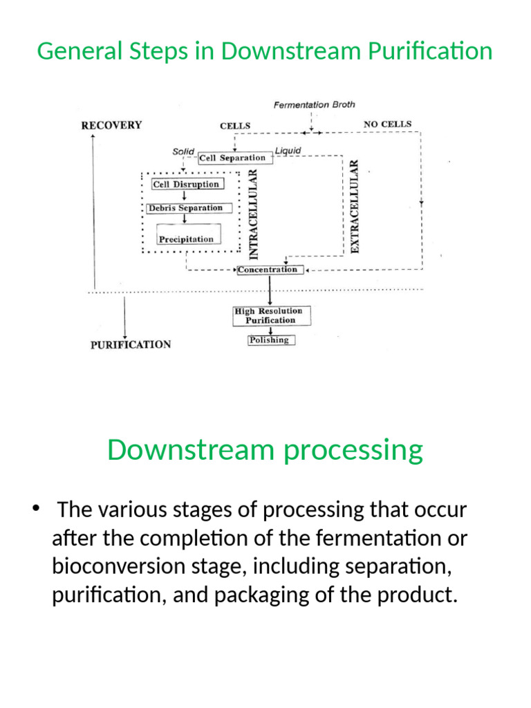Downstream Processing | PDF | Chromatography | Ion