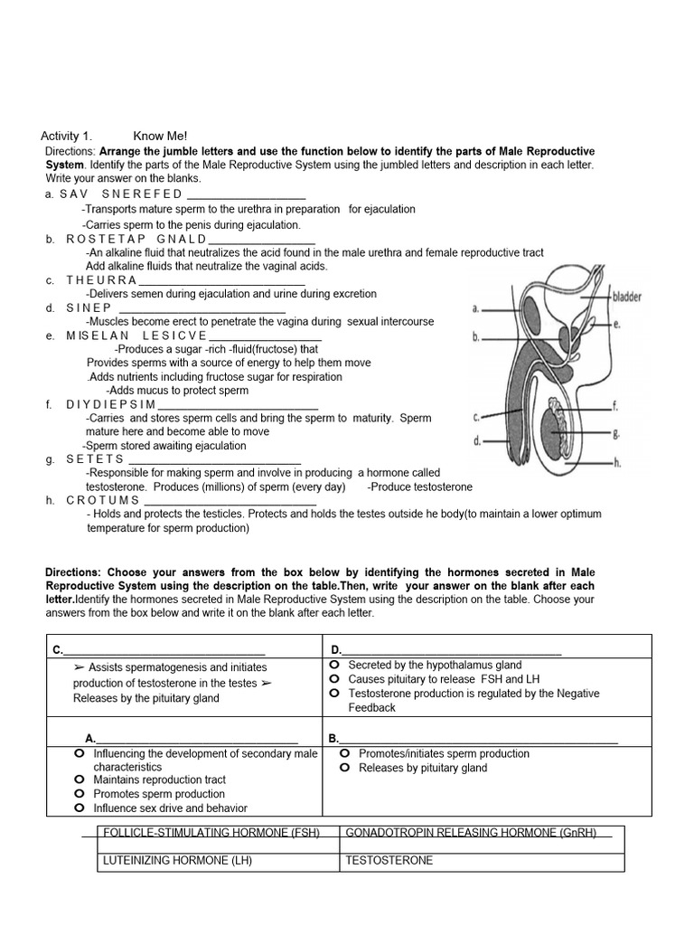 Hormones in Reproductive Systems | PDF | Menstrual Cycle | Luteinizing ...