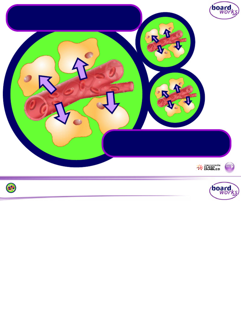 Circulation Cardiovascular Disease Pdf Heart Valve Atherosclerosis