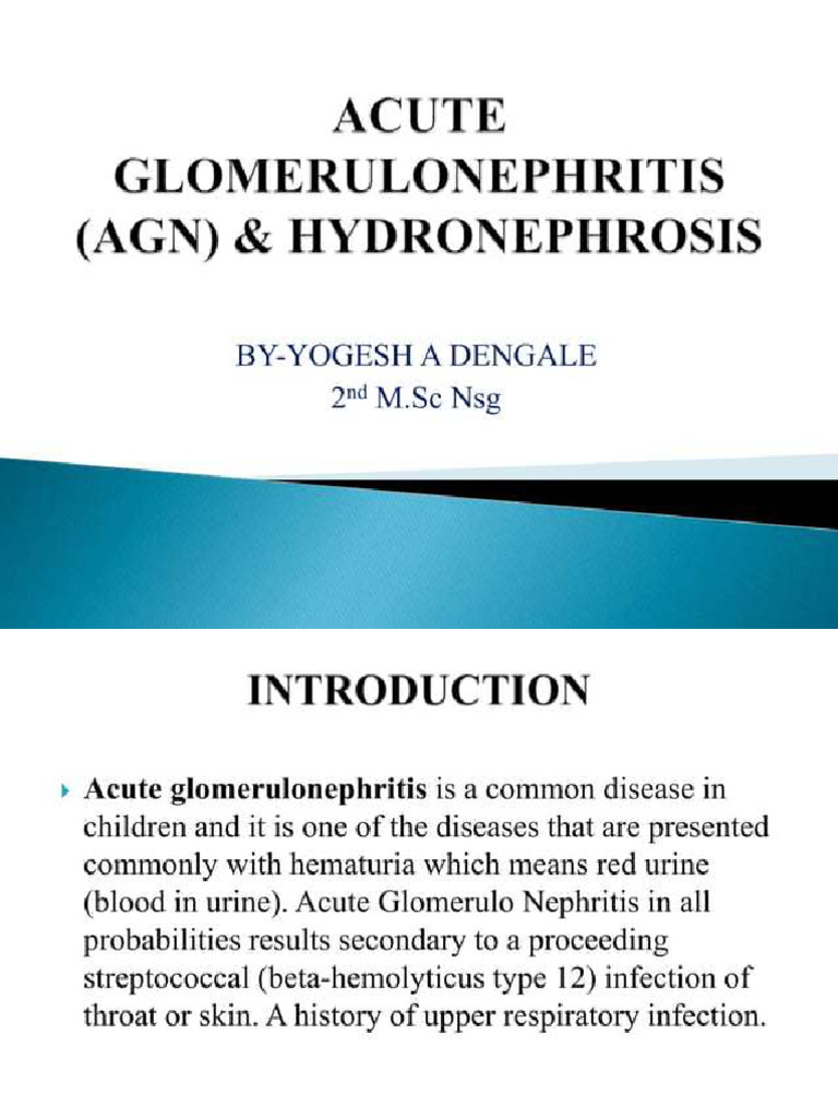 Acute Glomerulonephritis | PDF