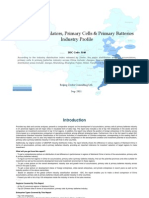 China Accumulators Primary Cells Primary Batteries Industry Profile Isic3140