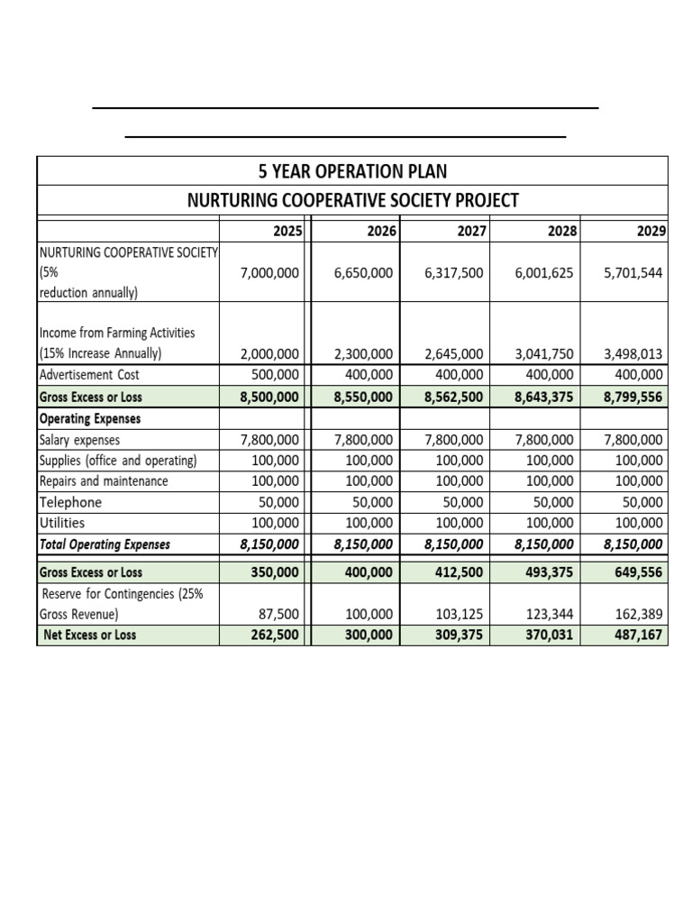 NCS Project Management-Operational-Financial Plan For 5 Years | PDF