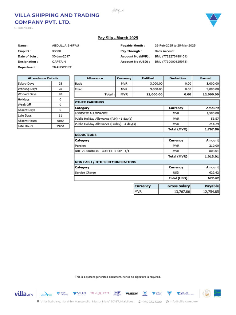 March 2025 Salary Slip for Captain | PDF | Salary | Employee Relations