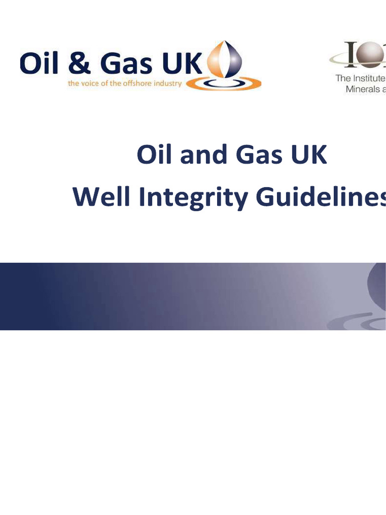 Well Integrity Management Guidelines | PDF | Casing (Borehole)