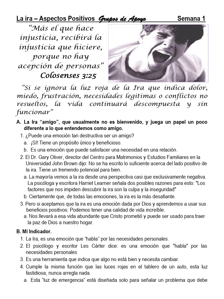 Manejo Positivo de la Ira | PDF | Ira | Las emociones