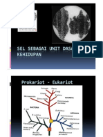 Sel Sebagai Unit Dasar Kehidupan