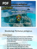Download Portunus Pelagicus Reproduksi Embrio amp Hormon by amtahya SN85130076 doc pdf