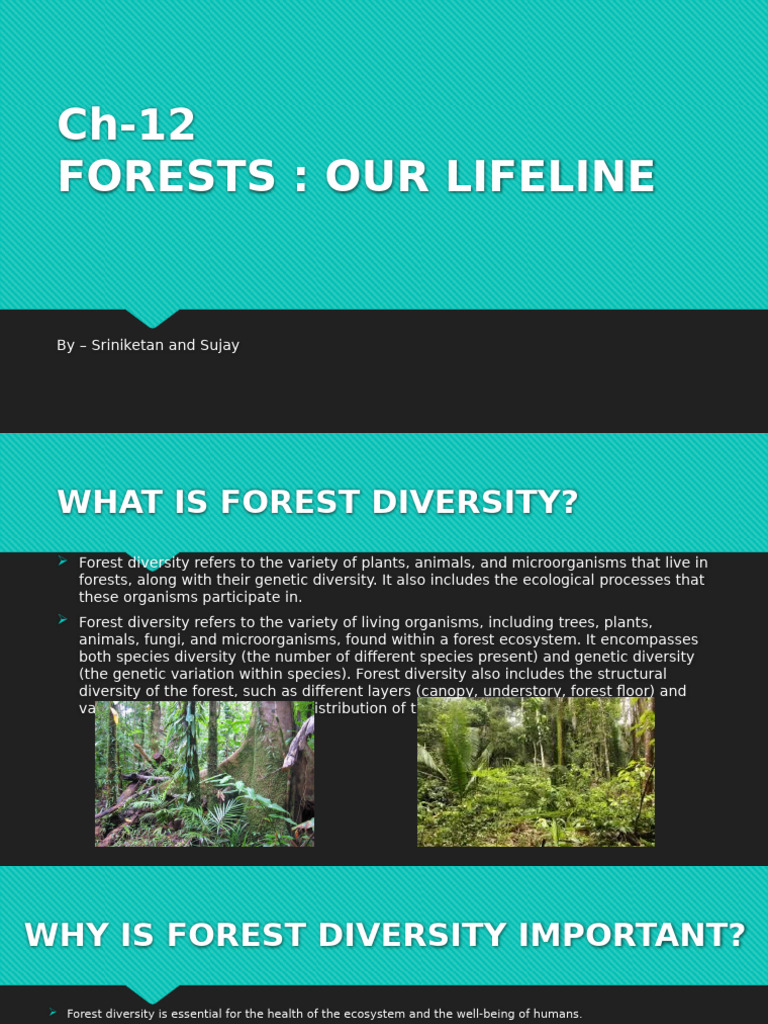 Importance of Forest Diversity Explained | PDF | Forests | Biodiversity