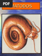 ATLASS DE PARASITOLOGIA-TREMATODOS-