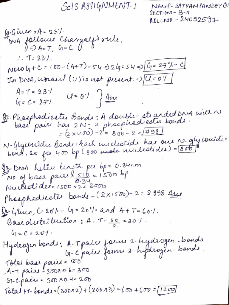 Sls Assignment 01 | PDF