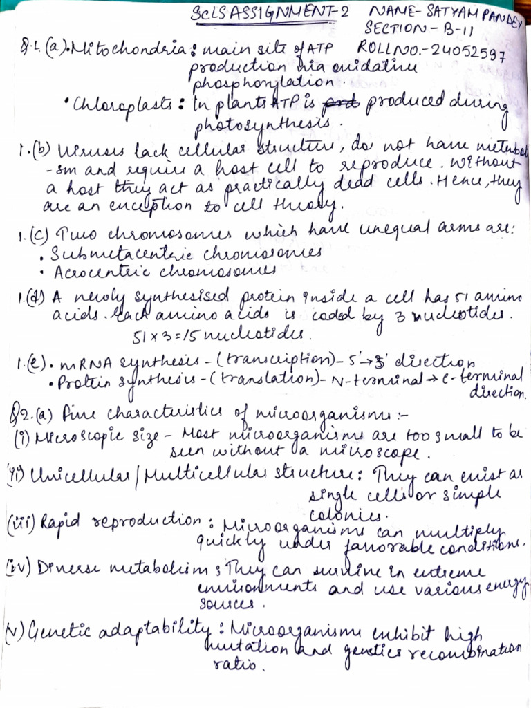 Sls Assignment 02 | PDF