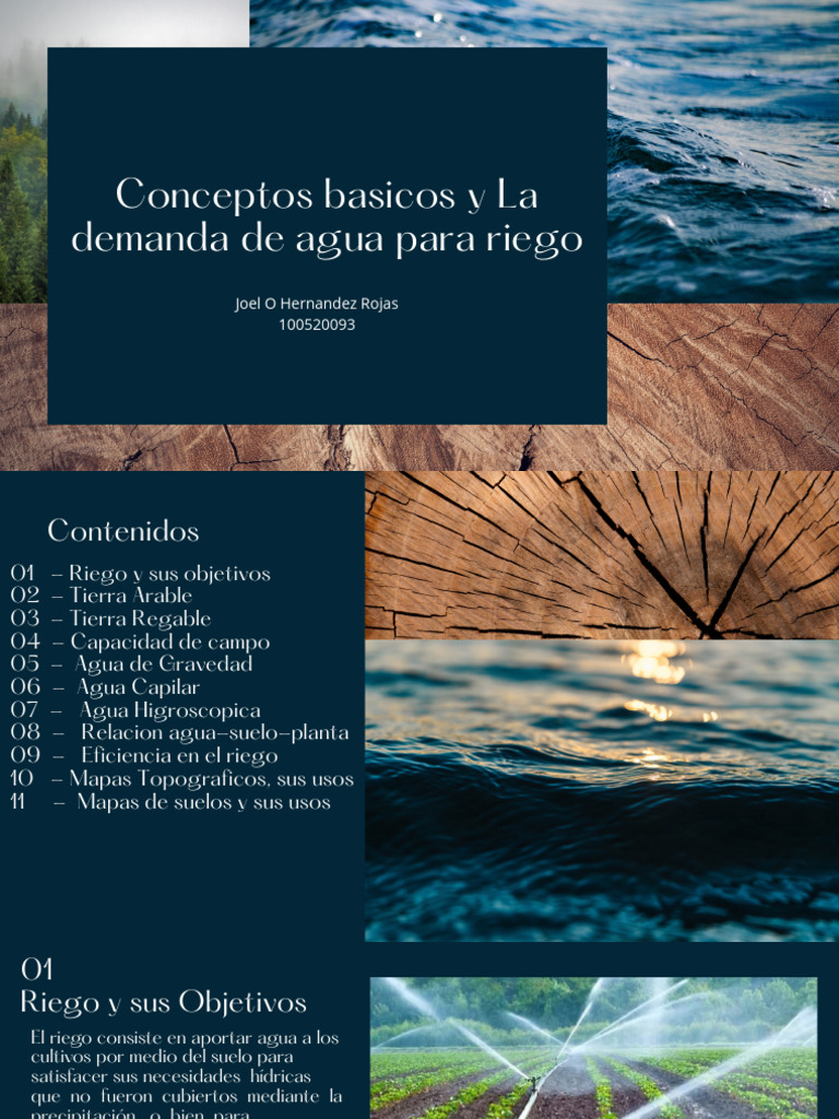 Demanda de Agua para Riego Agrícola | PDF | Riego | Agua