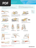 Surgical Pack Wrapping Guide | PDF | Neutering