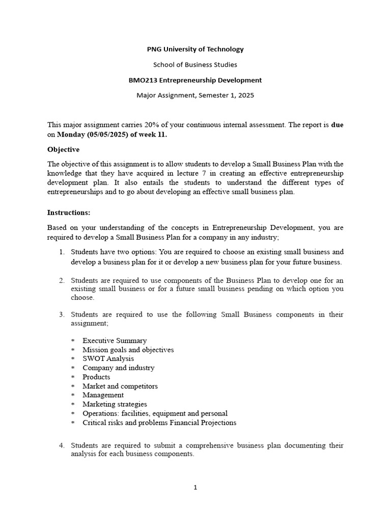 BMO213 Major Assignment Outline | PDF | Marketing Strategy | Cognition