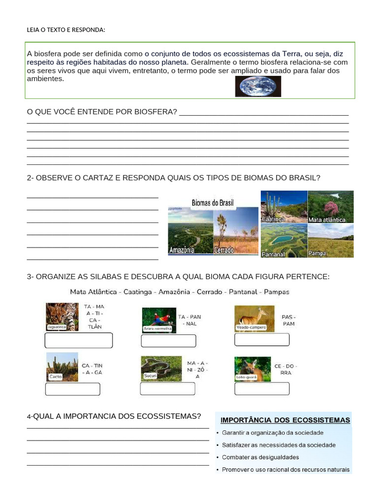 Atividades sobre a Biosfera para 4º Ano | PDF