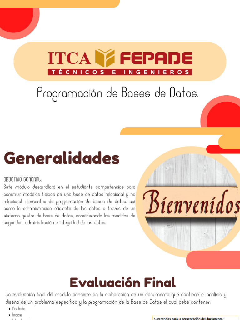 Programación y Diseño de Bases de Datos | PDF | Bases de datos | SQL