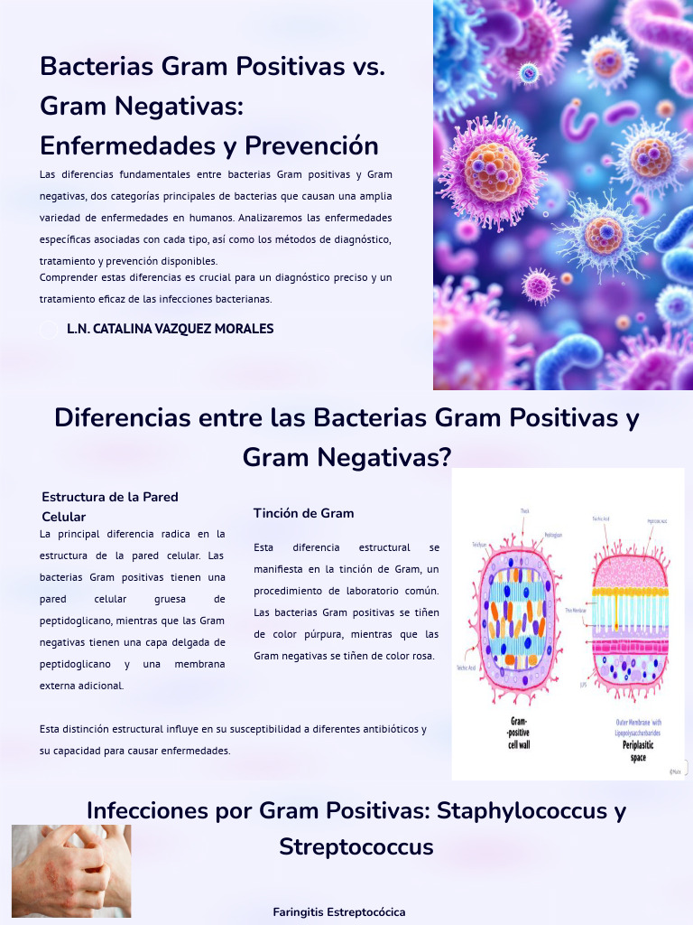 Enfermedades por Bacterias Gram Positivas | PDF | Las bacterias ...