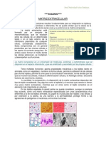 RESUMEN Matriz