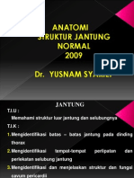 Jantung Normal