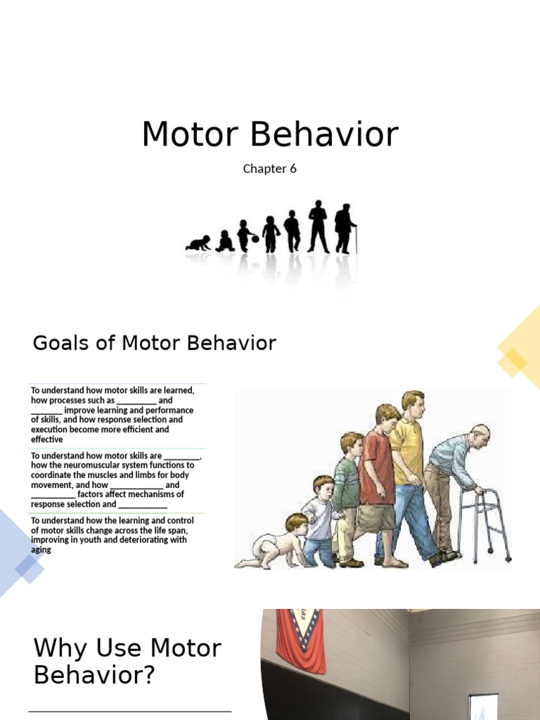 Understanding Motor Behavior and Skills | PDF | Motor Control ...