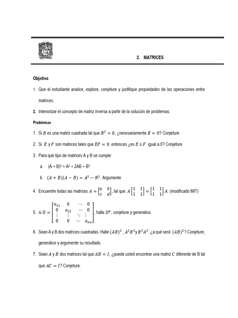 Propiedades y Problemas de Matrices | PDF