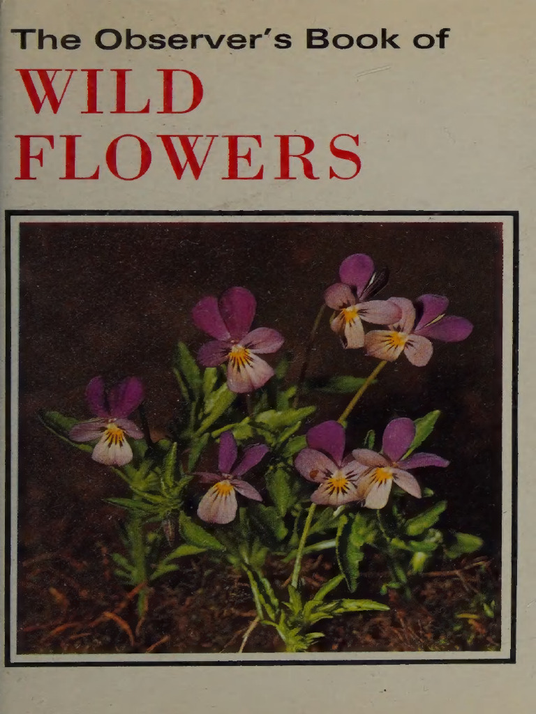 The Observers Book of Wild Flowers - WJ Stoke | PDF | Pollination | Flowers