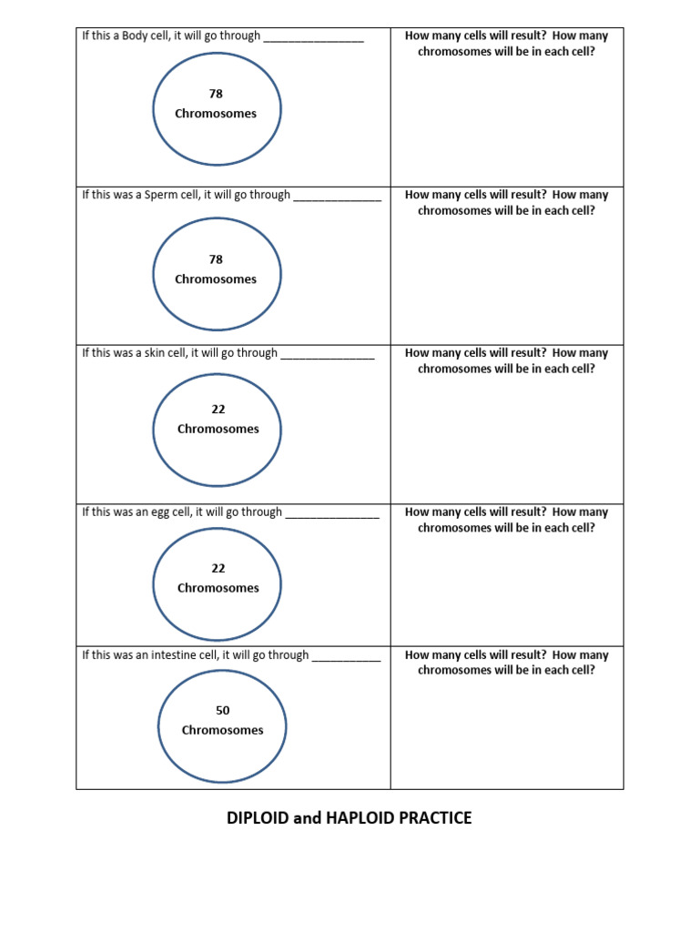 9c. Mitosis_meiosis Haploid_diploid Practice Edit PDF Ploidy Meiosis