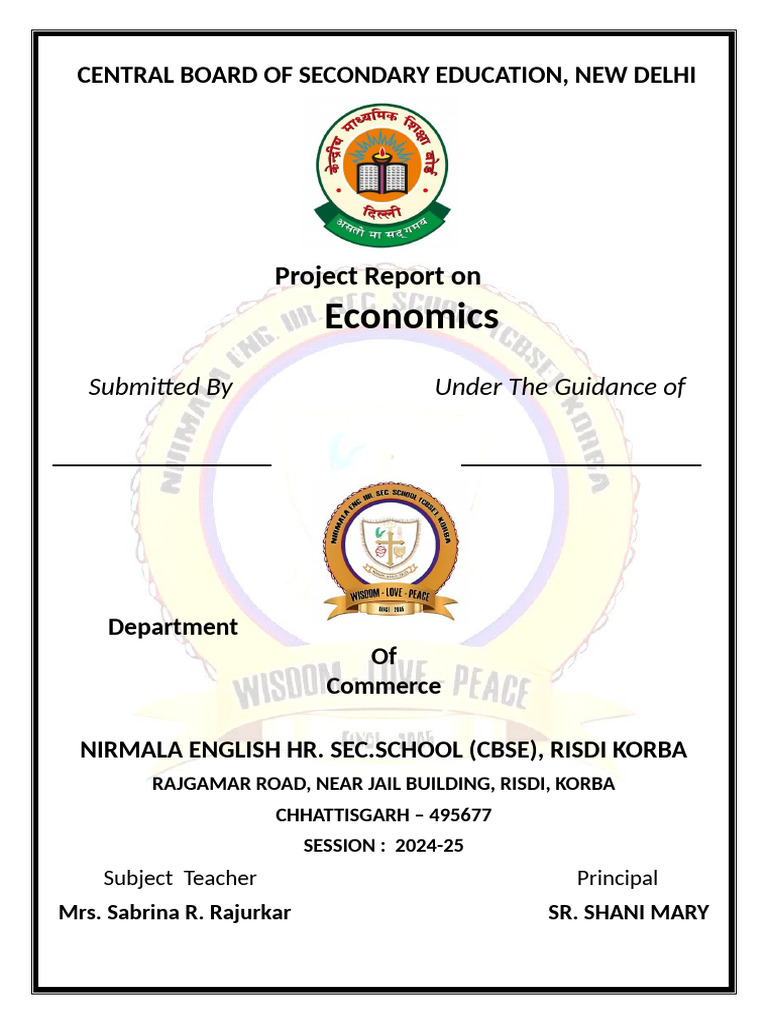 Economics Project Report 2024-25 | PDF