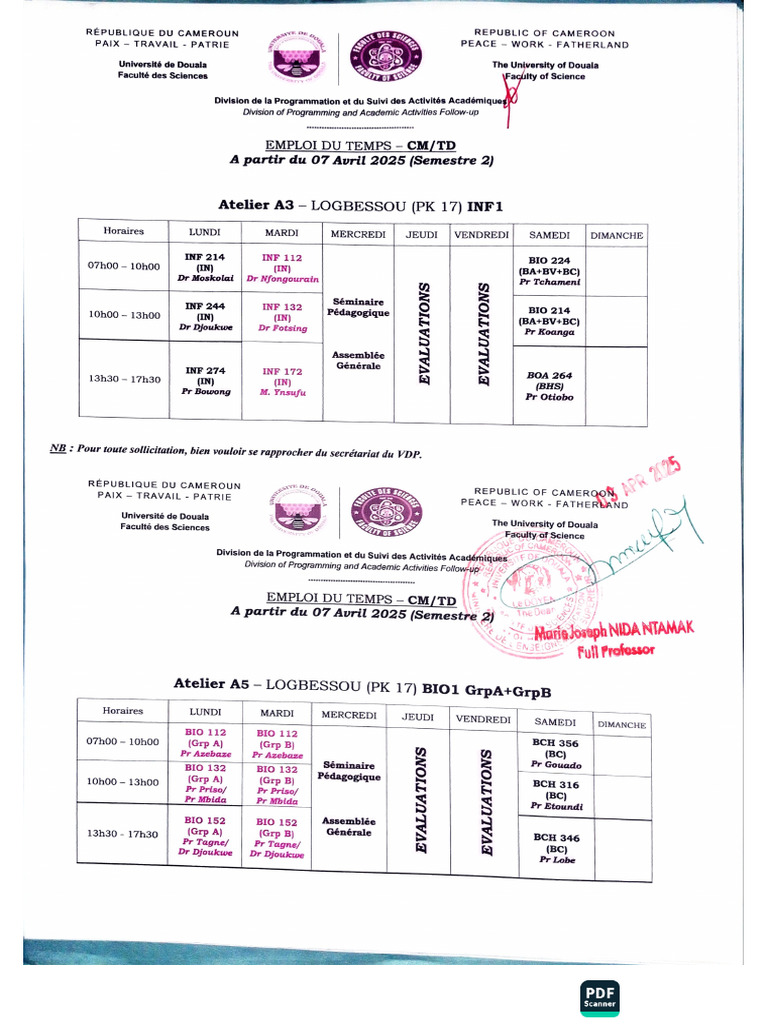ACE Scanner | PDF