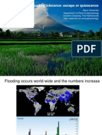 Flooding tolerance