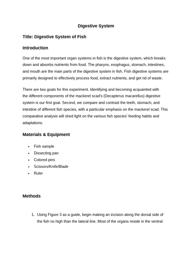 Mackerel Scad Digestive System Analysis | PDF | Human Digestive System ...