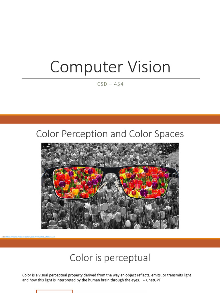 Color Perception and Spaces | PDF | Color | Rgb Color Model