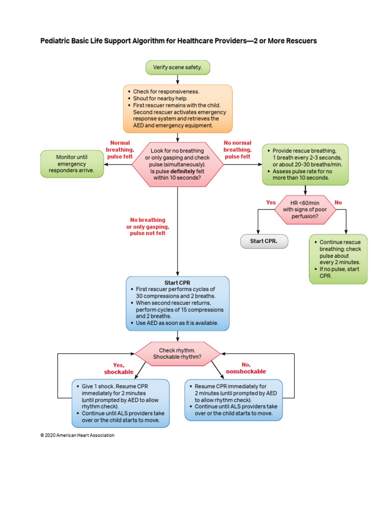 AlgorithmBLS Ped 2 Rescuers 200624 2 | PDF | Cardiopulmonary ...