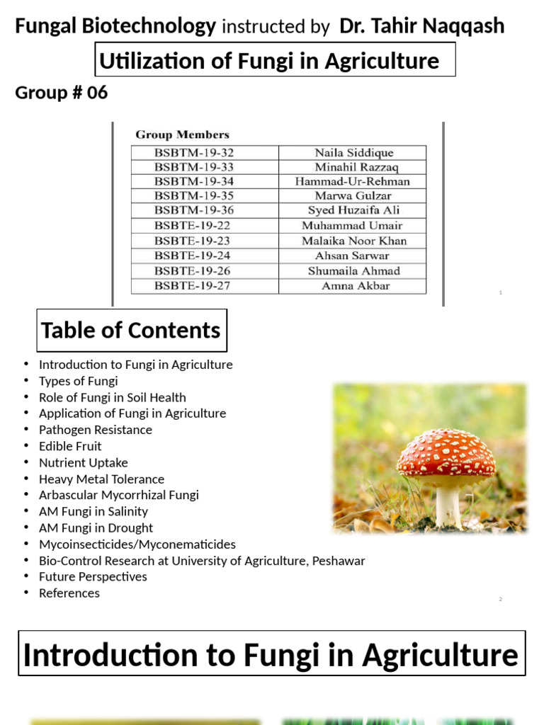 Fungi's Role in Agriculture and Soil Health | PDF | Fungus | Soil