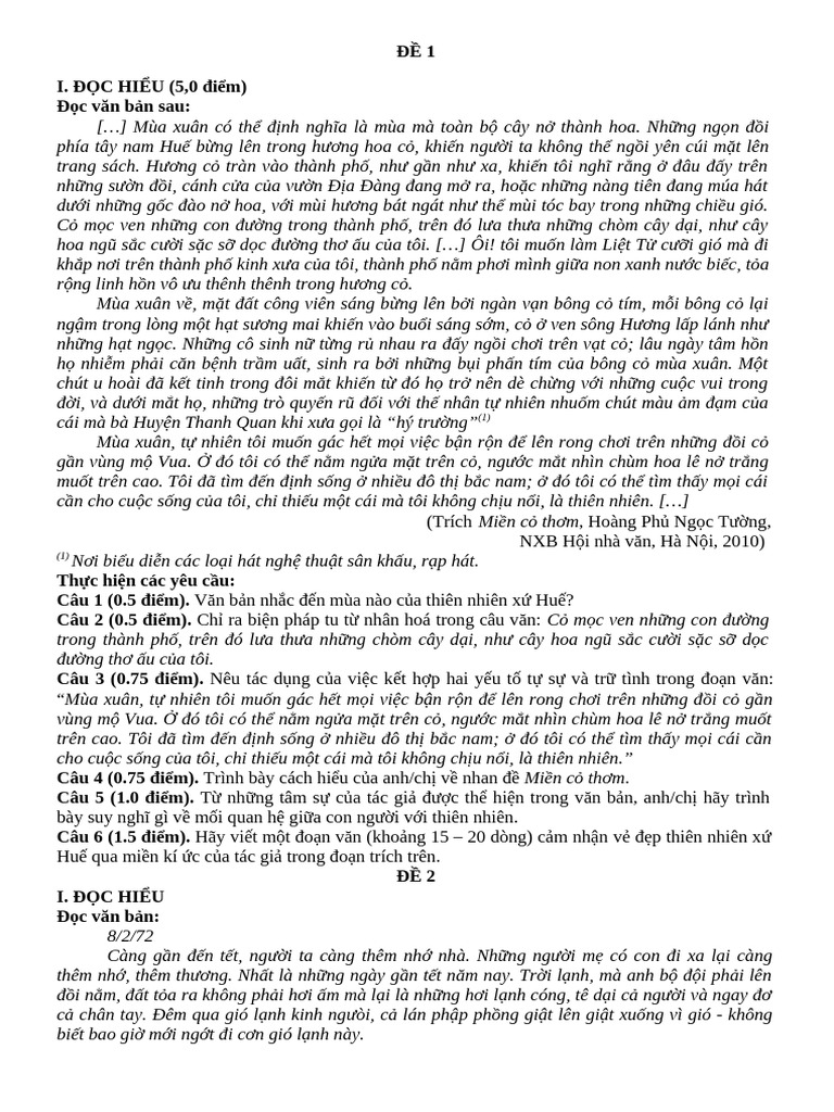 Đề Cương Đọc Hiểu Văn Bản | PDF