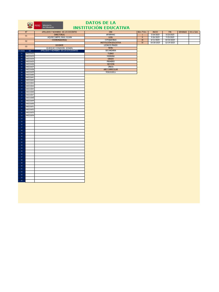 Registro Auxiliar Secundaria Literal Automatizado 2025 | PDF