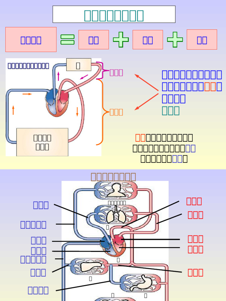 潘新承獸醫師專欄】犬貓麻醉大哉問，飼主應該知道什麼？, image size:768x1024