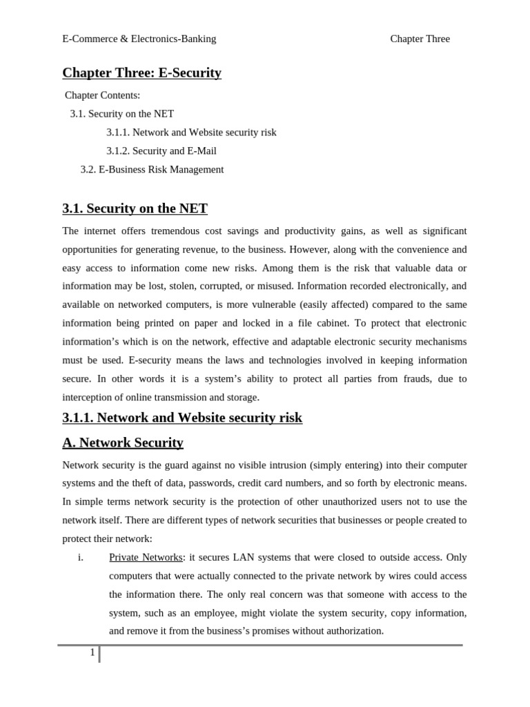 E-Security in E-Commerce Systems | PDF | Computer Network | Security