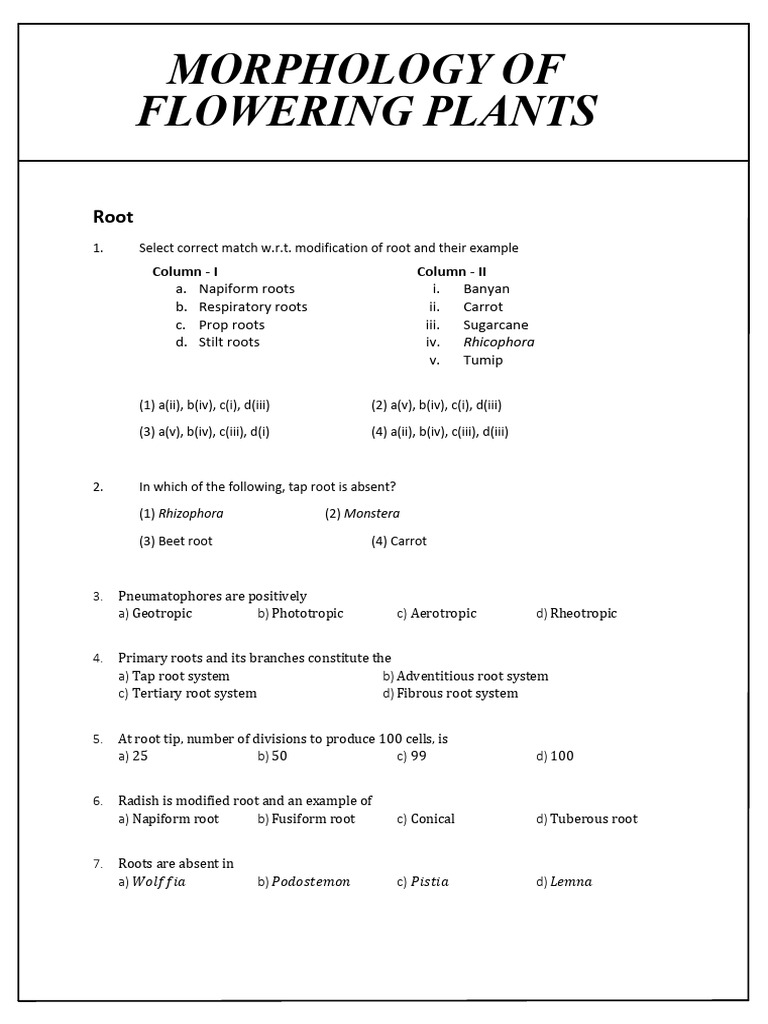 Types and Modifications of Plant Roots | PDF | Seed | Leaf