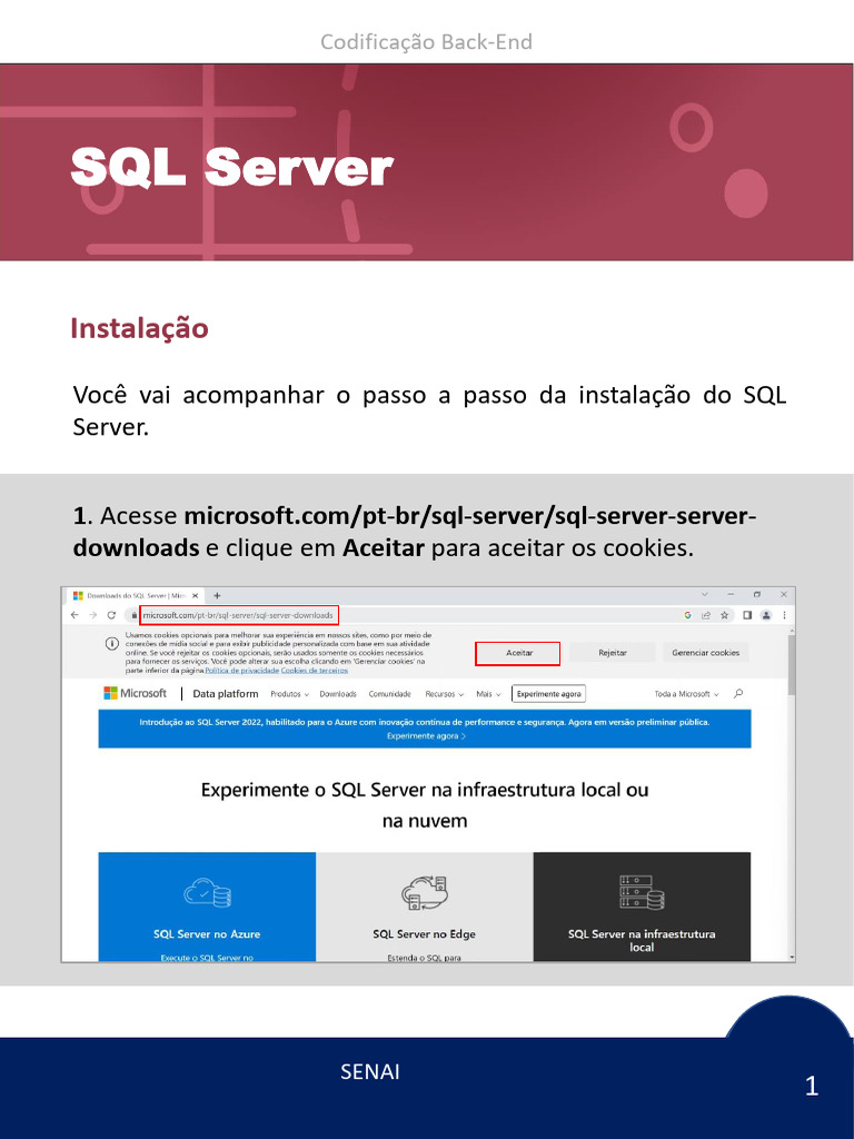 Instalação do SQL Server Passo a Passo | PDF | Microsoft SQL Server | Senha