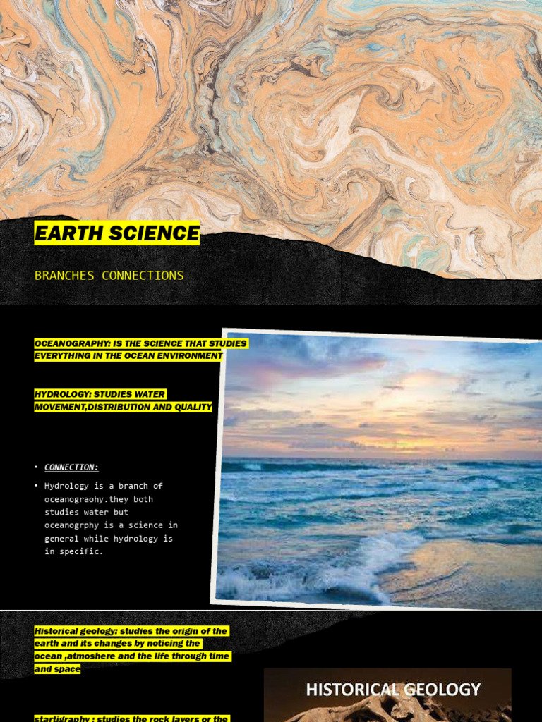 Branches Connection | PDF