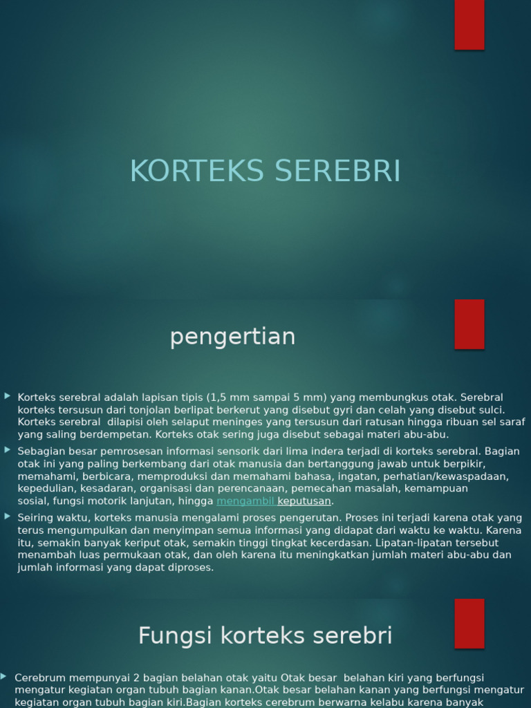 Fungsi dan Struktur Korteks Serebri | PDF