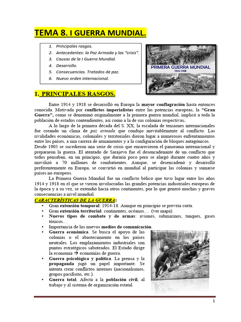 Causas y Consecuencias de la I Guerra Mundial | PDF | Primera Guerra ...