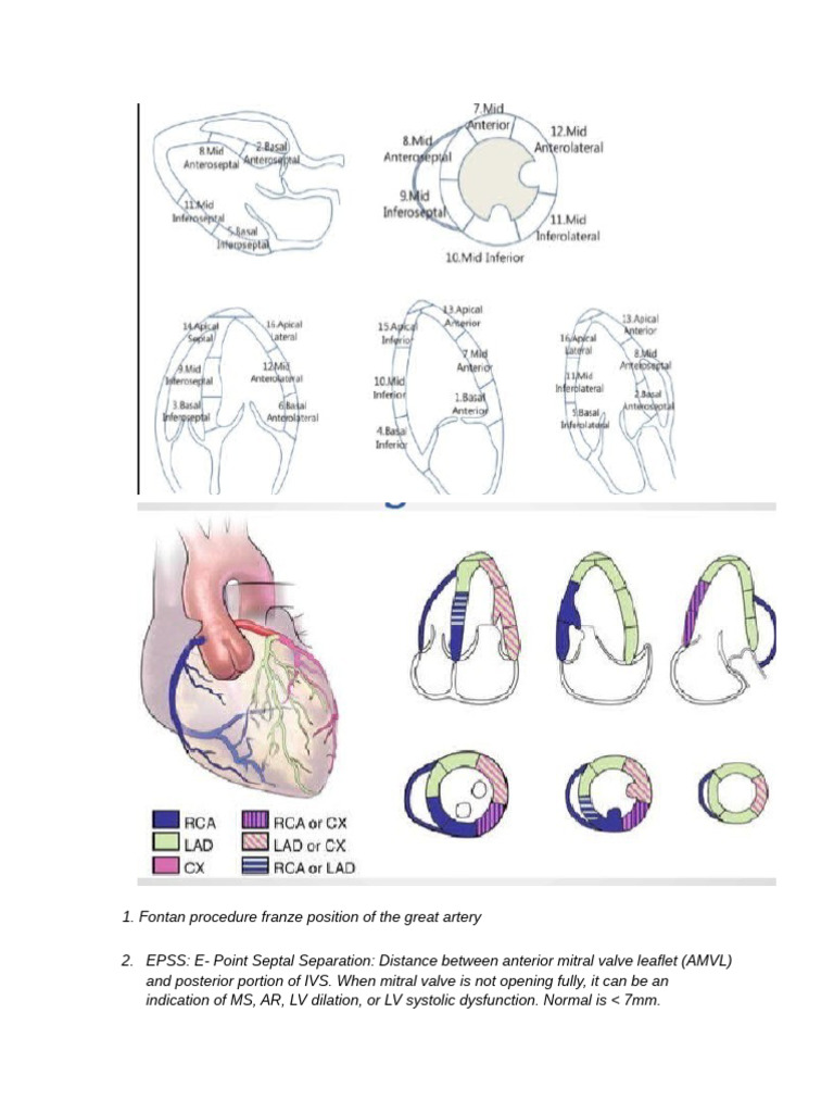 Cardiac Conditions and Diagnostic Insights | PDF | Heart Valve | Diastole