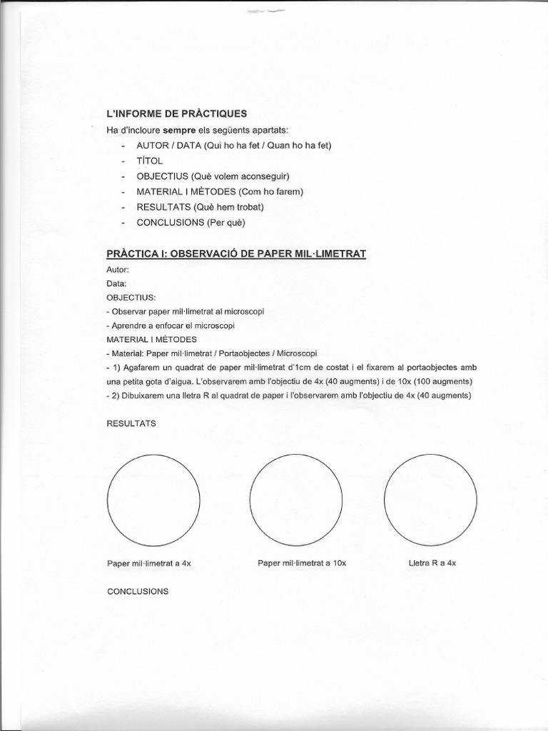 Pràctica Paper Mil Limetrat | PDF